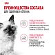 Royal Canin Kitten влажный корм для котят до 12 месяцев, желе