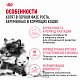 Royal Canin Mother & Babycat сухой корм для котят от 1 до 4 месяцев