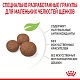 Royal Canin Medium Puppy сухой корм для щенков средних пород