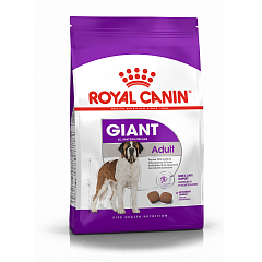 Royal Canin Giant Adult сухой корм для собак очень крупных пород