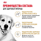 Royal Canin Golden Retriever Adult сухой корм для взрослых собак породы золотистый ретривер