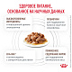 Royal Canin Gastrointestinal Moderate Calorie Роял Канин влажный корм для кошек при нарушении пищеварения, соус