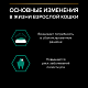 Pro Plan Maintenance влажный корм для взрослых кошек с курицей, соус