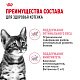 Royal Canin Kitten Sterilised влажный корм для стерилизованных котят, соус