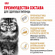 Royal Canin Persian Adult сухой корм для персидских кошек