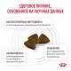 Royal Canin Gastrointestinal Kitten сухой корм для котят при нарушениях пищеварения