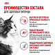 Royal Canin Instinctive влажный корм для взрослых кошек, соус