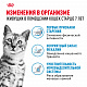 Royal Canin Indoor 7+ сухой корм для кошек от 7 лет, живущих в помещении