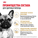Royal Canin French Bulldog Adult сухой корм для взрослых собак породы французский бульдог