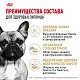 Royal Canin French Bulldog Adult сухой корм для взрослых собак породы французский бульдог