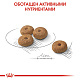 Royal Canin Mini Sterilised сухой корм для стерилизованных собак мелких пород