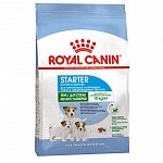 Royal Canin Mini starter корм для щенков до 2-х месяцев, беременных и кормящих сук