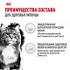 Royal Canin Hair & Skin Care влажный корм для взрослых кошек для здоровья кожи и красоты шерсти, желе