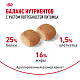 Royal Canin Miniature Schnauzer Adult сухой корм для взрослых собак породы миниатюрный шнауцер