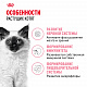 Royal Canin Kitten сухой корм для котят до 12 месяцев
