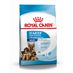 Royal Canin Maxi Starter сухой корм для щенков крупных пород до 2мес.