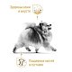 Royal Canin Pomeranian Adult сухой корм для взрослых собак породы померанский шпиц
