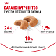 Royal Canin French Bulldog Adult сухой корм для взрослых собак породы французский бульдог