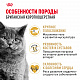 Royal Canin British Shorthair Adult сухой корм для британских короткошерстных кошек