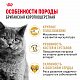Royal Canin British Shorthair Adult сухой корм для британских короткошерстных кошек