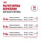 Royal Canin British Shorthair Adult влажный корм для взрослых британских короткошерстных кошек, соус