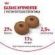 Royal Canin Maxi Ageing 8+ сухой корм для собак крупных пород от 8 лет