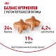 Royal Canin German Shepherd Adult сухой корм для взрослых собак породы немецкая овчарка