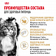 Royal Canin Siberian Adult сухой корм для сибирских кошек