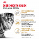 Royal Canin Persian Adult сухой корм для персидских кошек