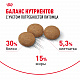 Royal Canin Ageing Sterilised 12+ сухой корм для стерилизованных кошек от 12 лет