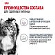 Royal Canin Hair & Skin Care влажный корм для взрослых кошек для здоровья кожи и красоты шерсти, соус