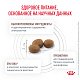 Royal Canin Gastrointestinal Low Fat сухой корм для собак при нарушениях пищеварения