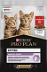 Pro Plan Healthy Start влажный корм для котят с говядиной, соус
