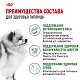 Royal Canin Mini Indoor Adult сухой корм для домашних собак мелких пород 