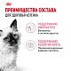 Royal Canin Kitten влажный корм для котят до 12 месяцев, соус