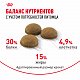 Royal Canin Indoor Long Hair сухой корм для длинношерстных кошек, живущих в помещении