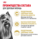 Royal Canin Yorkshire Terrier Adult сухой корм для взрослых собак породы йоркширский терьер