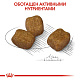 Royal Canin Mini Dental сухой корм для собак мелких пород с чувствительными деснами 
