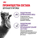 Royal Canin Sterilised влажный корм для стерилизованных кошек, желе