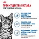 Royal Canin Indoor Sterilised влажный корм для взрослых стерил. домашних кошек, соус