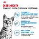 Royal Canin Indoor Appetite Control сухой корм для кошек, живущих в помещении и склонных к перееданию