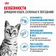 Royal Canin Indoor Appetite Control сухой корм для кошек, живущих в помещении и склонных к перееданию