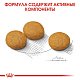 Royal Canin Medium Dermacomfort сухой корм для собак средних пород с чувствительной кожей