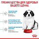 Royal Canin Giant Puppy сухой корм для щенков очень крупных пород