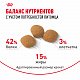 Royal Canin Protein Exigent сухой корм для привередливых кошек