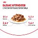Royal Canin Instinctive 7+ влажный корм для взрослых кошек старше 7 лет, соус