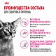 Royal Canin Protein Exigent сухой корм для привередливых кошек