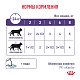 Royal Canin Neutered Balance Роял Канин влажный корм для стерилизованных кошек, склонных к набору веса, соус