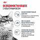Royal Canin Light Weight Care сухой корм для взрослых кошек для профилактики избыточного веса