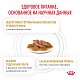 Royal Canin Urinary S/O Роял Канин влажный корм для кошек при МКБ, соус